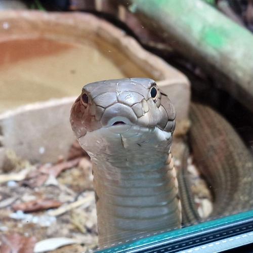 Klassenfahrt_Füssen