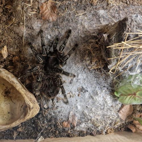 Klassenfahrt_Füssen