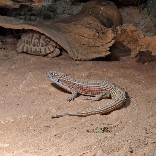 Klassenfahrt_Füssen