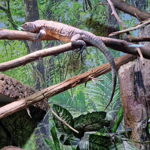 Klassenfahrt_Füssen