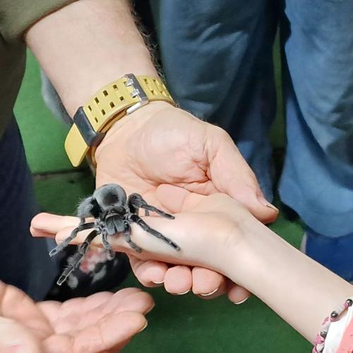 Klassenfahrt_Füssen