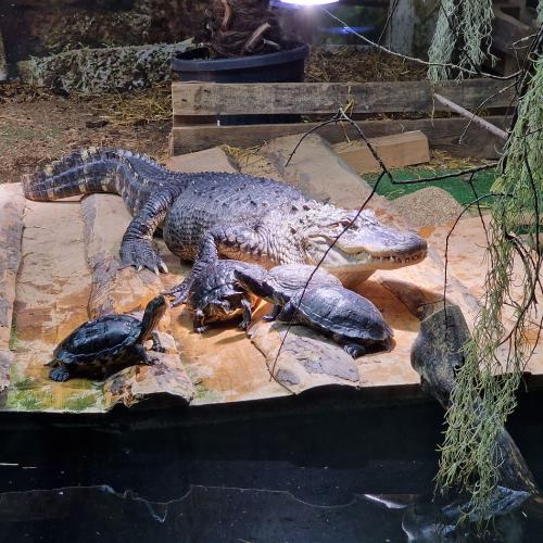 Klassenfahrt_Füssen