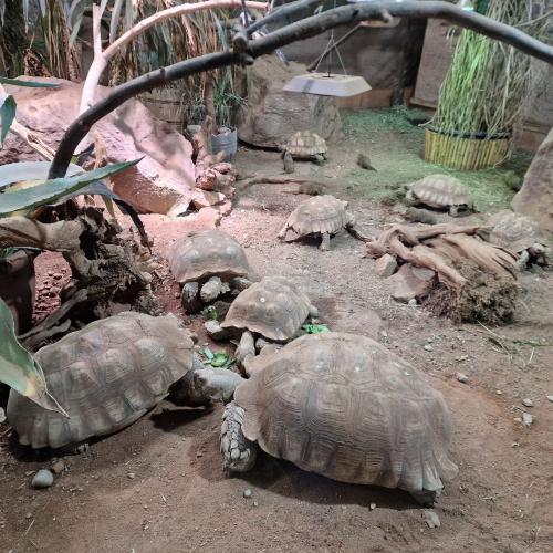 Klassenfahrt_Füssen