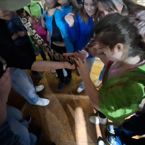 Klassenfahrt_Füssen