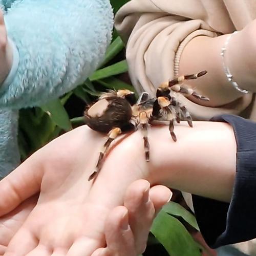 Klassenfahrt_Füssen