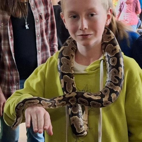 Klassenfahrt_Füssen