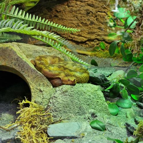 Klassenfahrt_Füssen