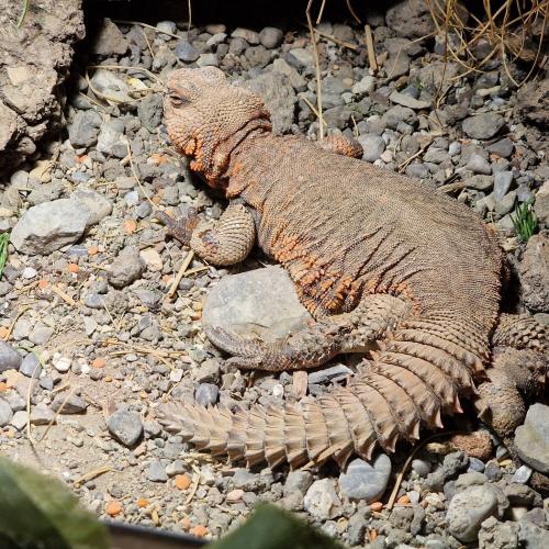 Klassenfahrt_Füssen