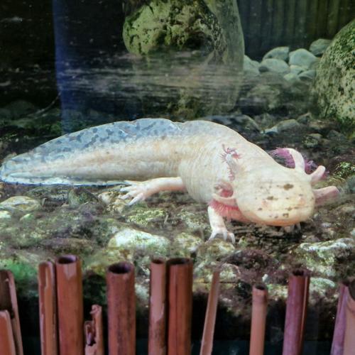 Klassenfahrt_Füssen