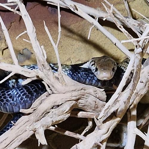 Klassenfahrt_Füssen