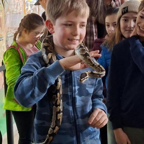 Klassenfahrt_Füssen