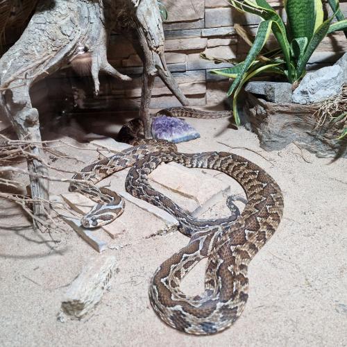 Klassenfahrt_Füssen