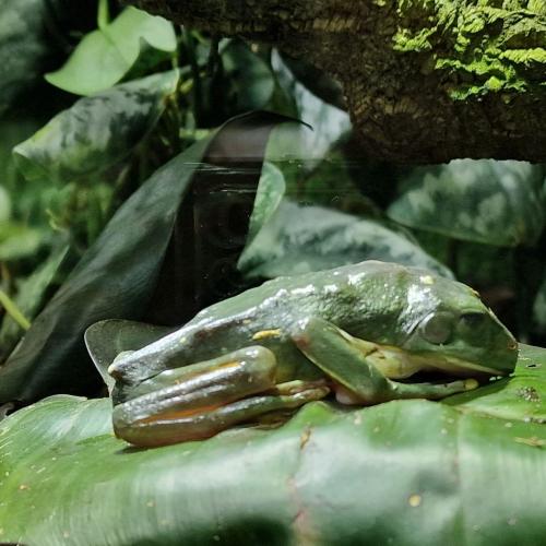 Klassenfahrt_Füssen