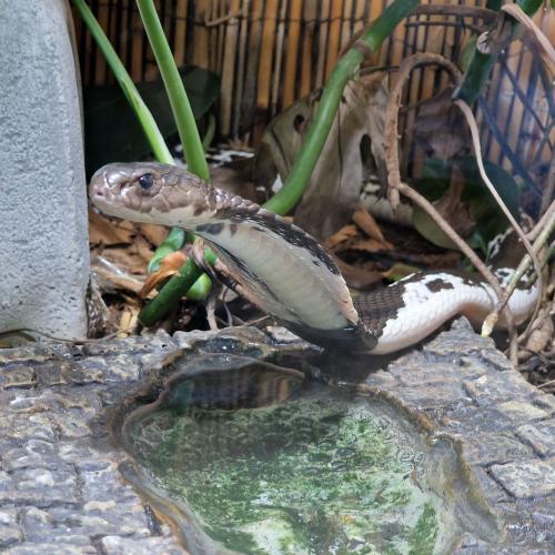 Klassenfahrt_Füssen